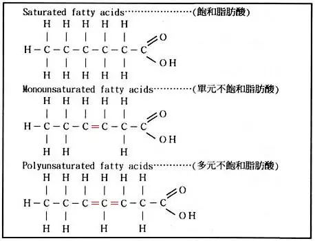 常见的三种脂肪酸