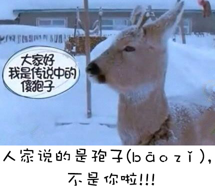 春雨医生
