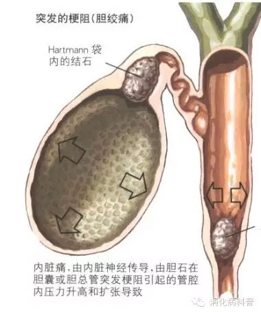 春雨医生