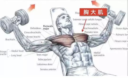 春雨医生 春雨医生