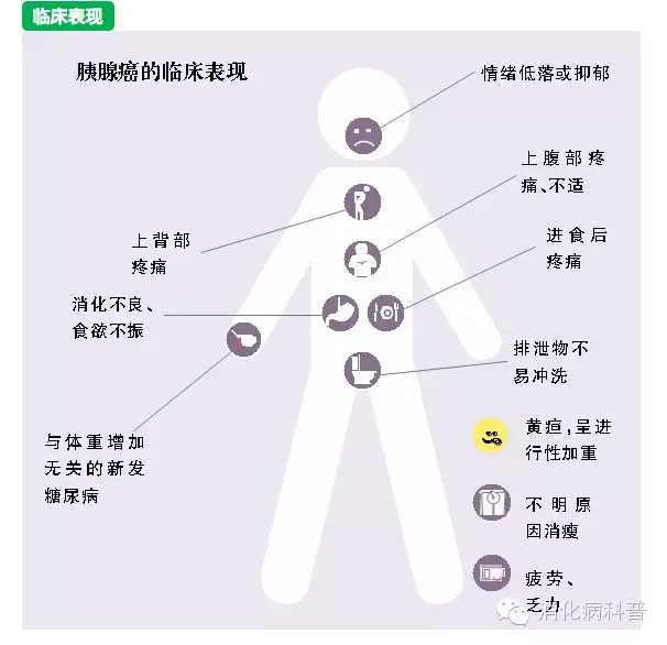 春雨医生