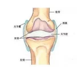 春雨医生