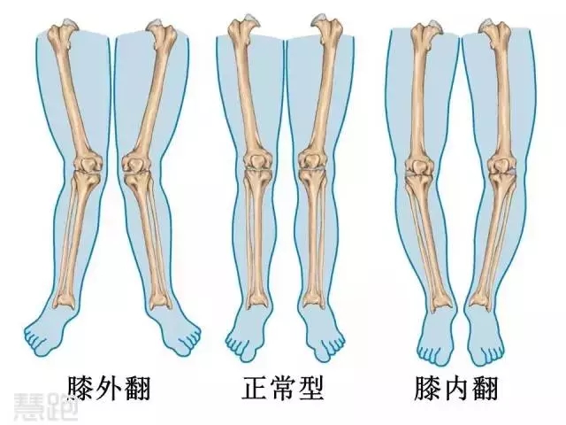 春雨医生