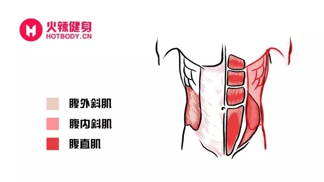 春雨医生 春雨医生