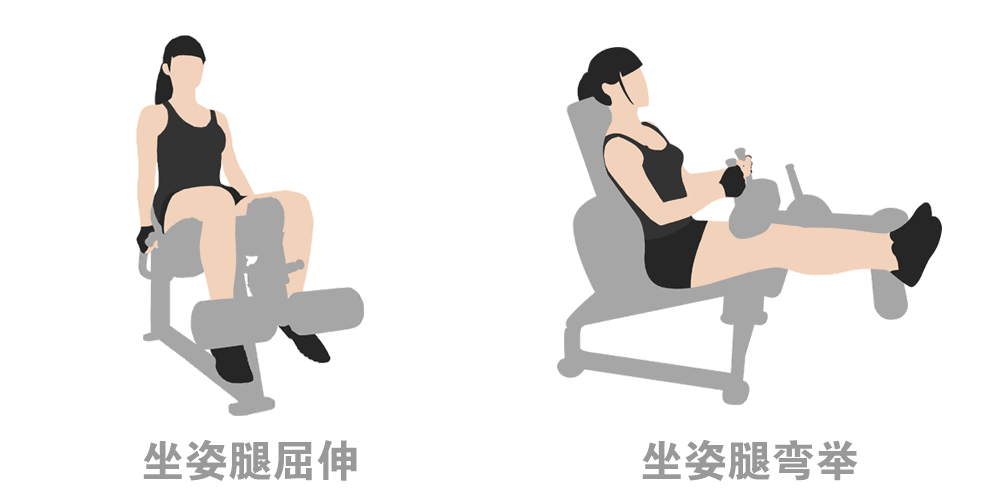 放在一起对比一下:左边的腿屈伸,右边的腿弯举,区别在于一个是大腿