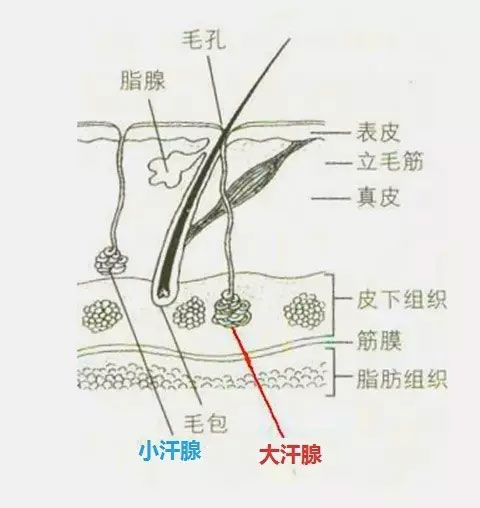 春雨医生