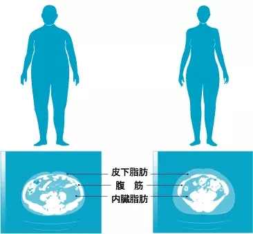 春雨医生 春雨医生