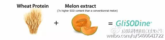 春雨医生 春雨医生