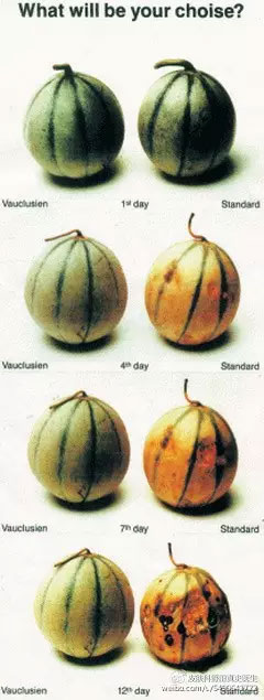 春雨医生 春雨医生