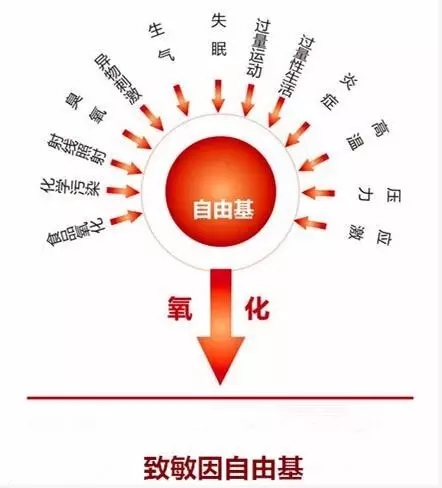 春雨医生