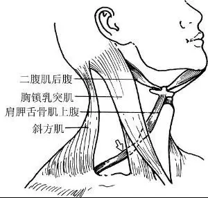 春雨医生