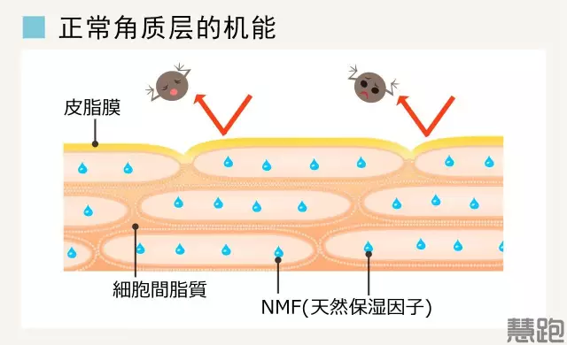 春雨医生