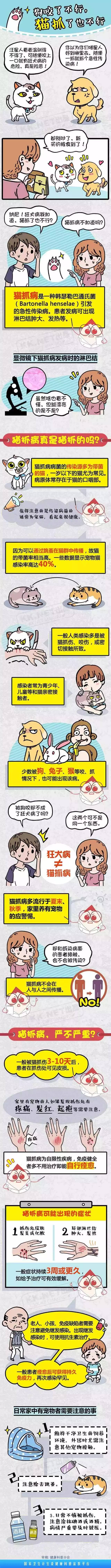 春雨医生
