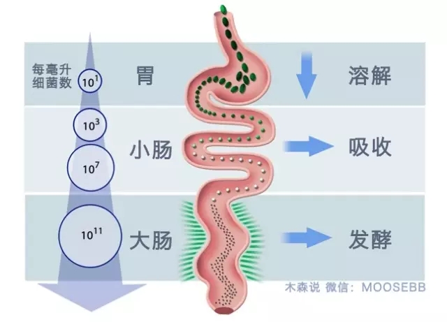 春雨醫(yī)生