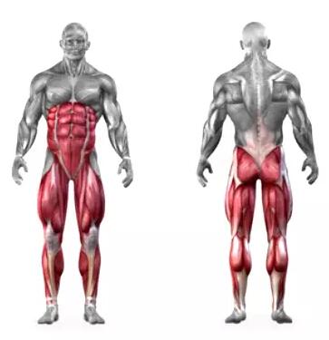 春雨医生 春雨医生