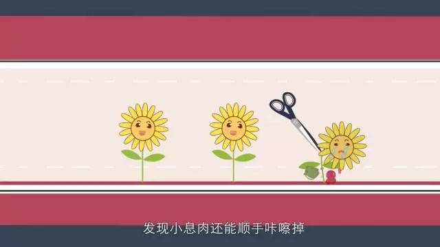 春雨醫(yī)生