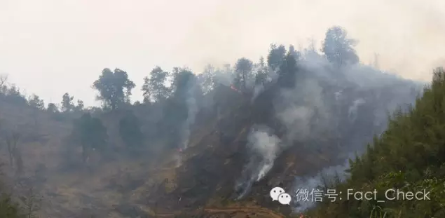 春雨醫(yī)生