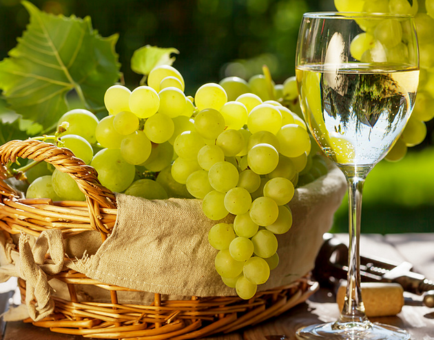 春雨医生 春雨医生