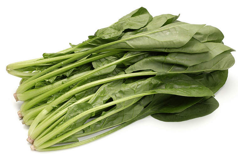 春雨医生 春雨医生