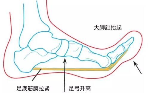 春雨医生