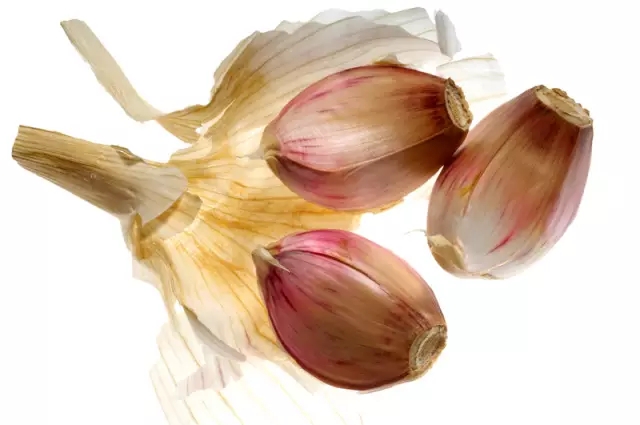 春雨医生 春雨医生