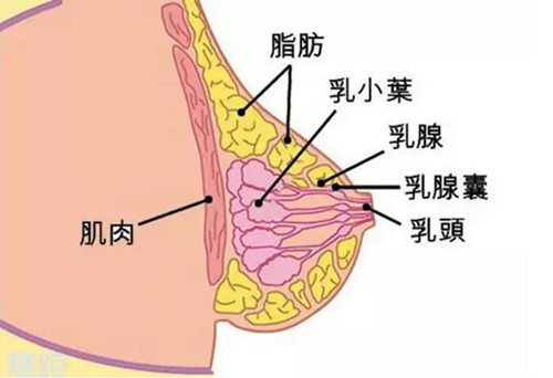 春雨医生