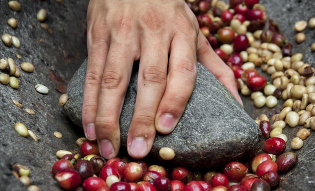 春雨医生 春雨医生