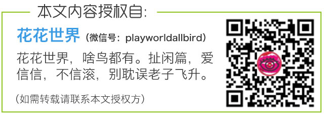 春雨医生 春雨医生