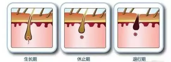 春雨医生