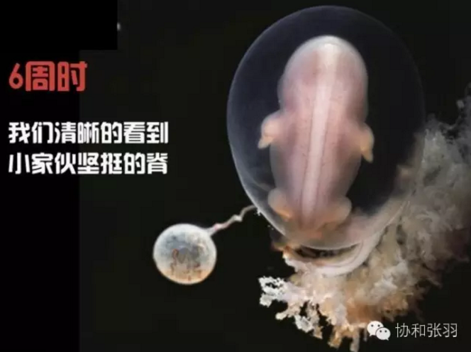 春雨医生 春雨医生