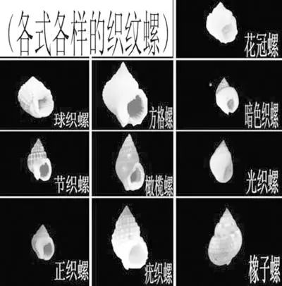 春雨医生