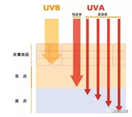 春雨医生