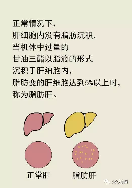 春雨醫(yī)生