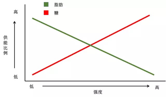 不同强度运动时糖和脂肪供能比例以6:00配速跑步,心率大约介于145-163