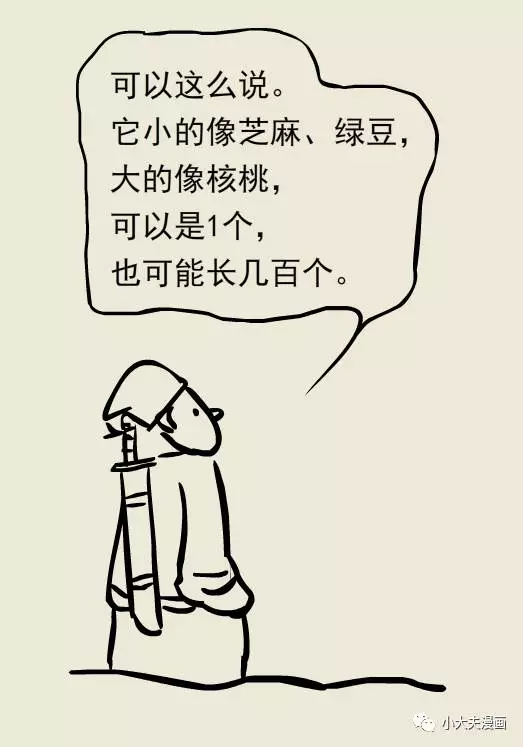 春雨医生