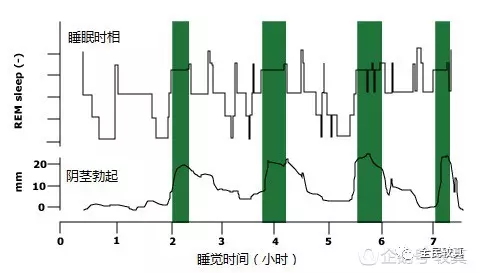 春雨醫(yī)生