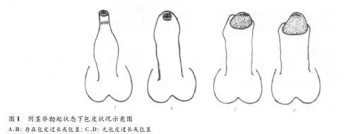 春雨医生
