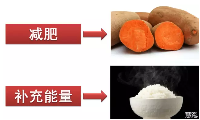 成也主食败也主食:减肥时主食吃还是不吃