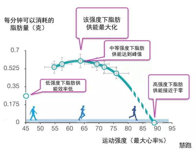 春雨医生 春雨医生