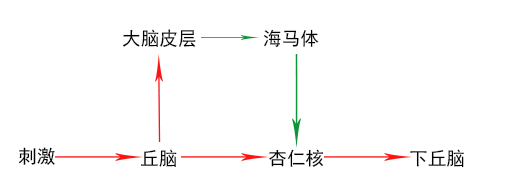 为什么你会被“惊出一身冷汗”？