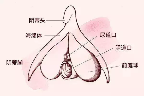 春雨医生