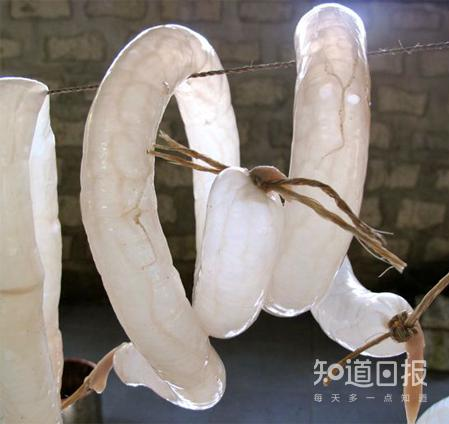 春雨医生 春雨医生