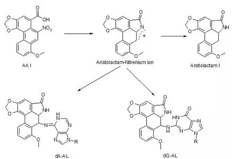 春雨医生 春雨医生