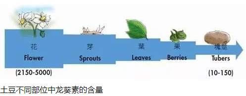 春雨医生