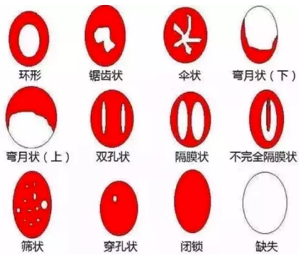 春雨医生 春雨医生