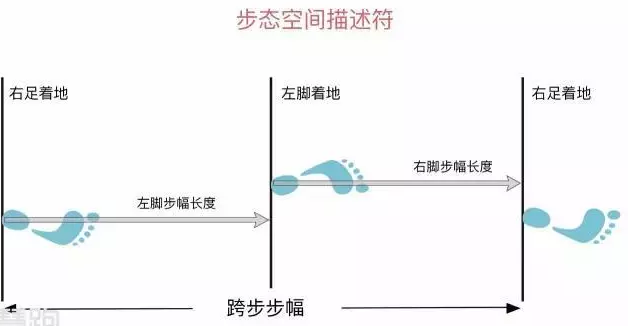 春雨医生 春雨医生