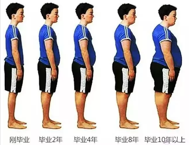 工作后越来越胖，是怎么一回事？-春雨医生