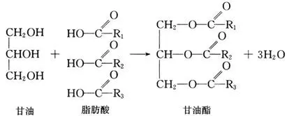 春雨医生 春雨医生