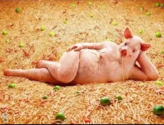 小皮听你说裸奔放屁搓脚丫一人在家的你是怎么放飞自我的