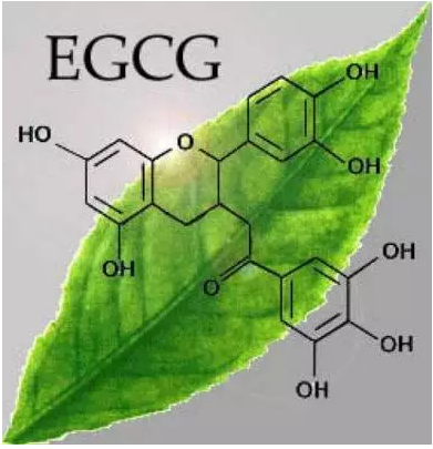 春雨医生 春雨医生